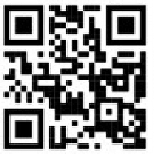 Connecto barcode test language